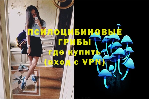 гидропоника Арсеньев