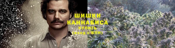 гидропоника Арсеньев