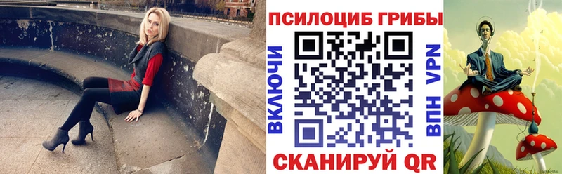 Псилоцибиновые грибы мицелий  где найти наркотики  Бутурлиновка 